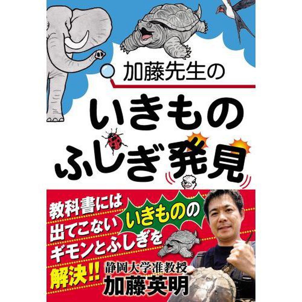 加藤先生のいきものふしぎ発見