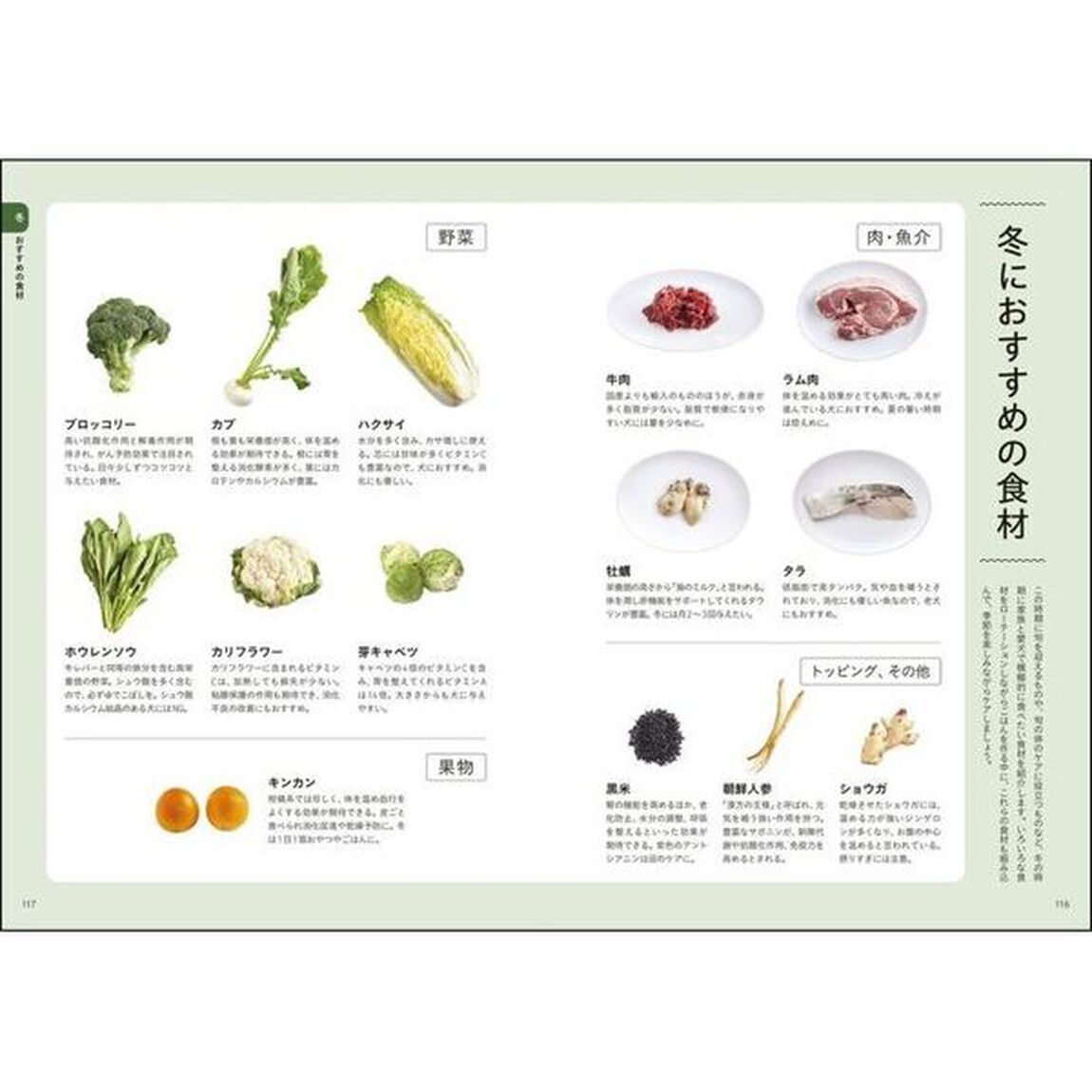 愛犬と家族の毎日ごはん　一緒に作るから、手軽で続けやすい