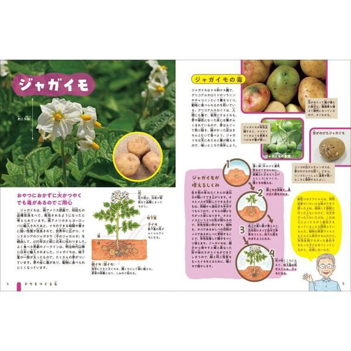 技あり！モーレツ植物ずかん　２「ドクをつくる系・トゲをはやす系」
