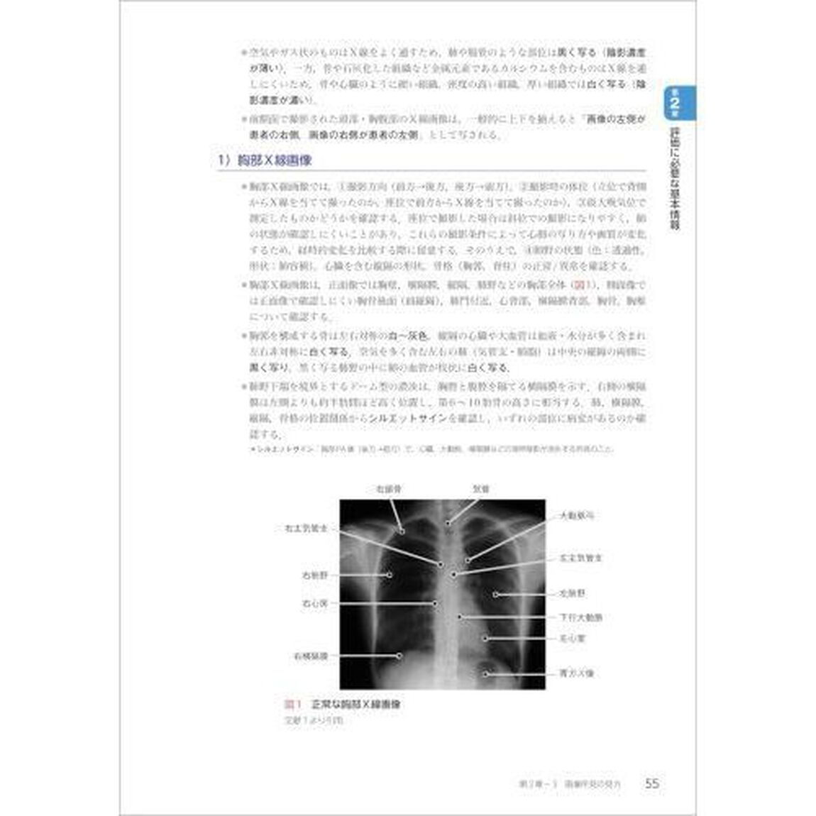 リハビリテーション基礎評価学「第２版」