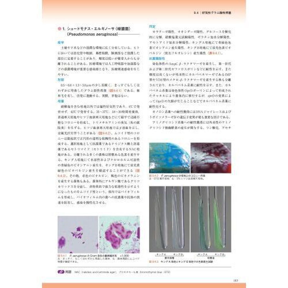 臨床微生物検査技術教本「第２版」