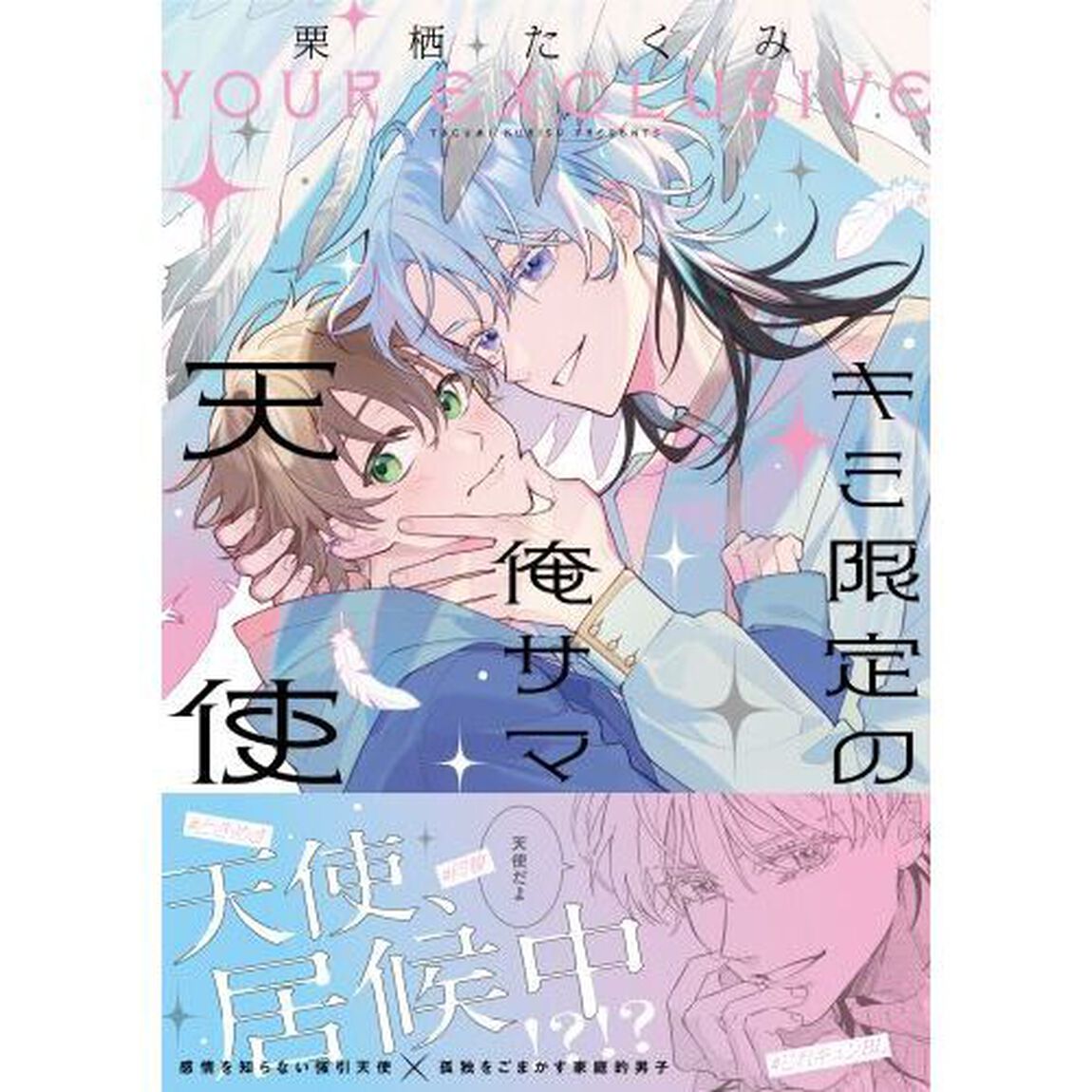 キミ限定の俺サマ天使