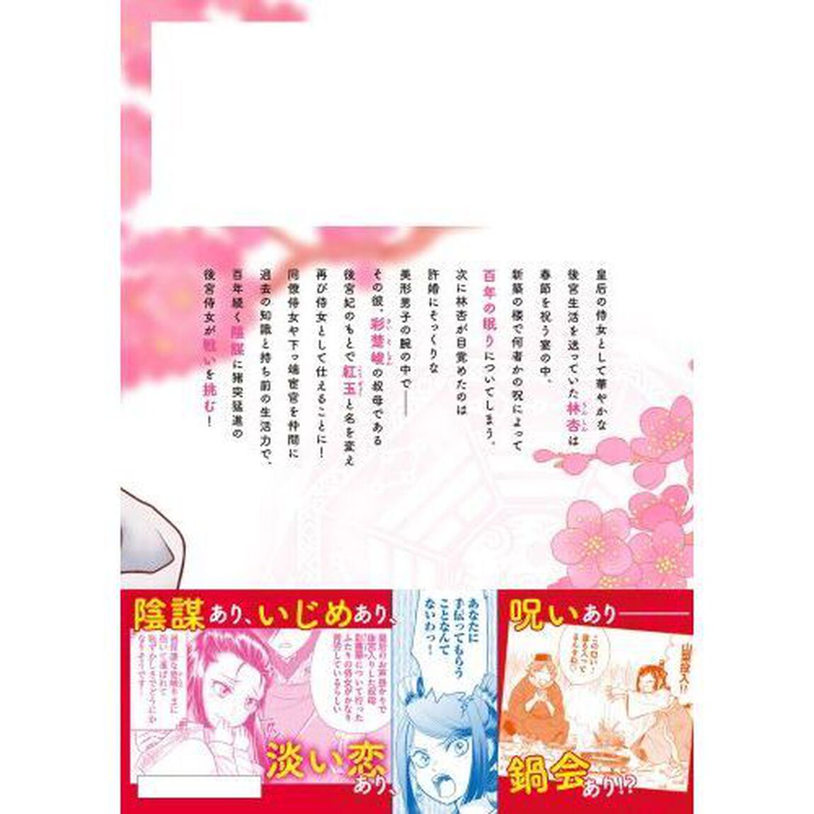 目が覚めると百年後の後宮でした　後宮侍女紅玉　１
