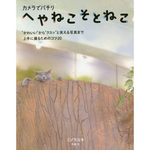 へやねこそとねこ　カメラでパチリ