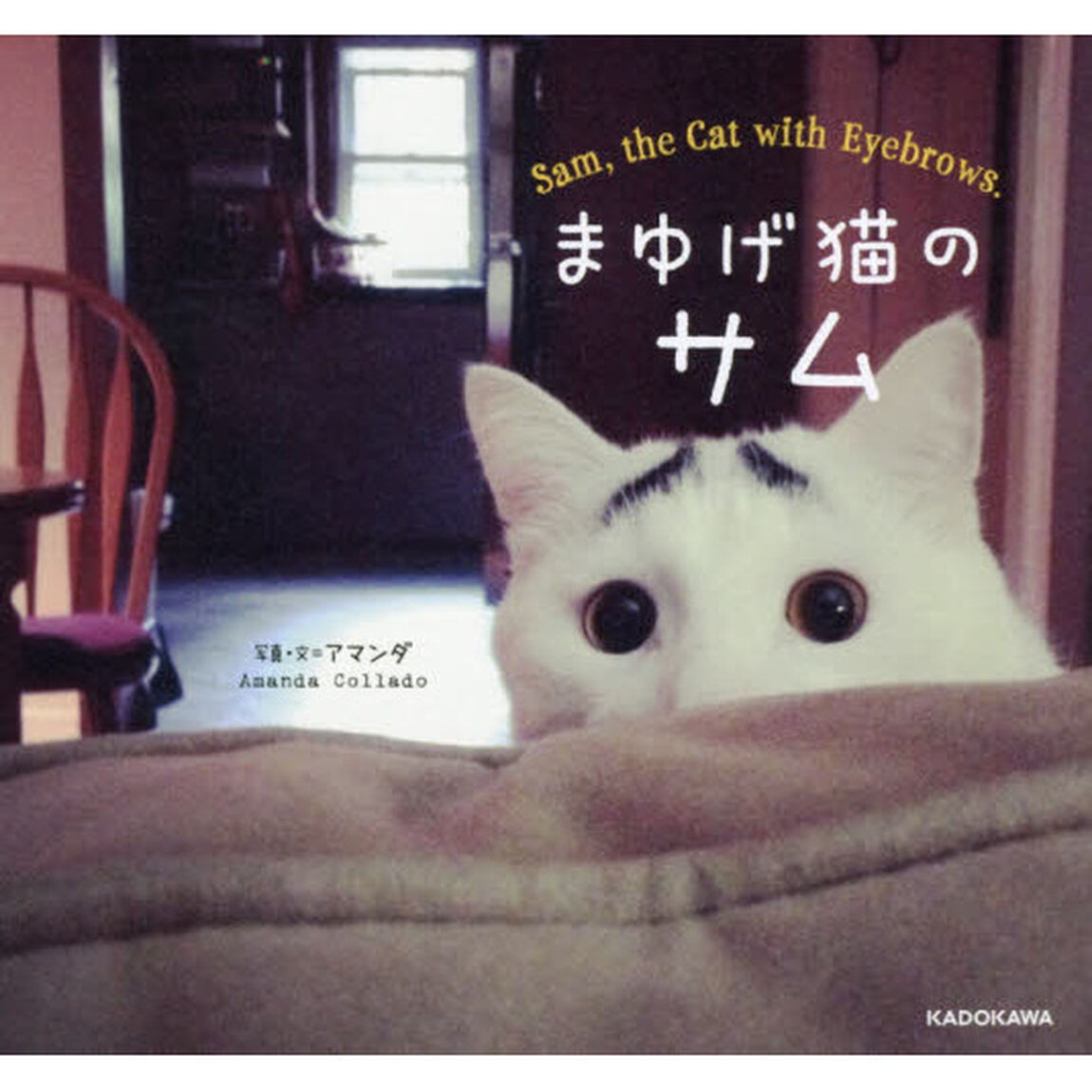 まゆげ猫のサム