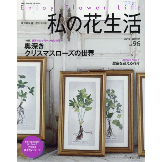 私の花生活　Ｎｏ．９６「奥深きクリスマスローズの世界」