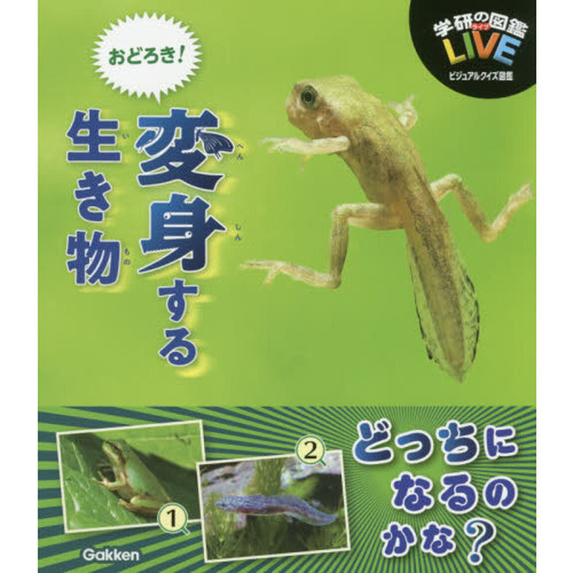 おどろき！変身する生き物