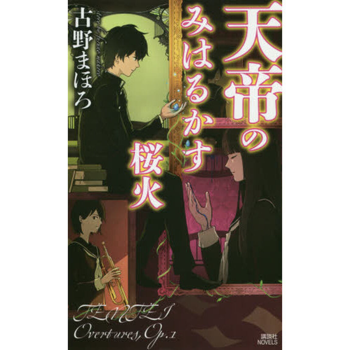 天帝のみはるかす桜火