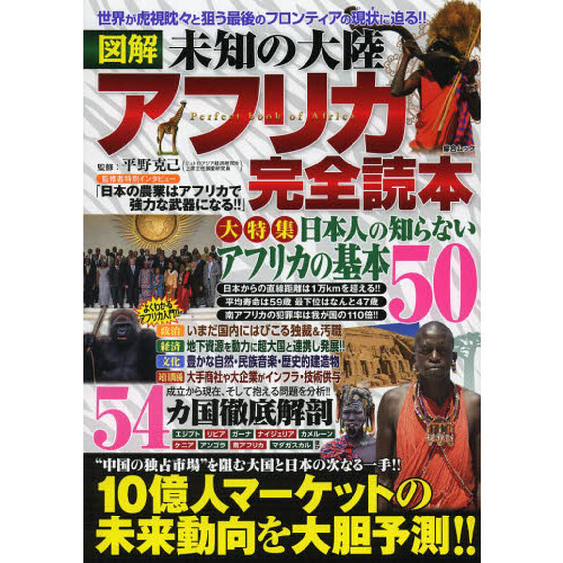 図解未知の大陸アフリカ完全読本　１０億人市場の今と未来を徹底解説！！