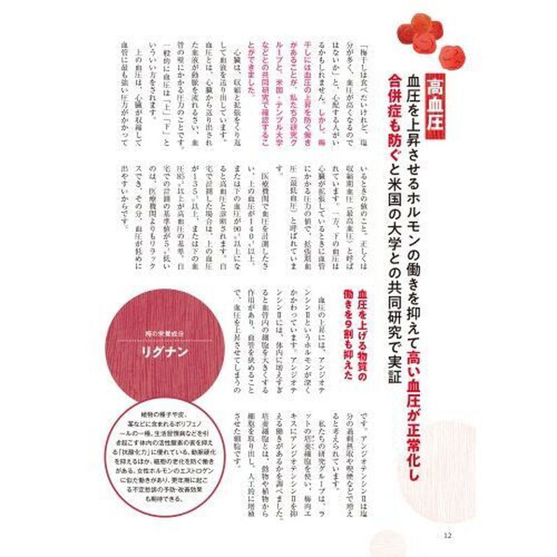 梅・梅干し・梅しごと大学教授が教えるすごい食べ方大全　悩みの不調別梅レシピ最もいい食べ方事典