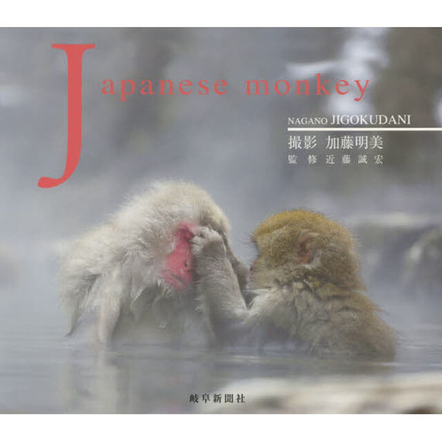 Ｊａｐａｎｅｓｅ　ｍｏｎｋｅｙ　長野地獄谷