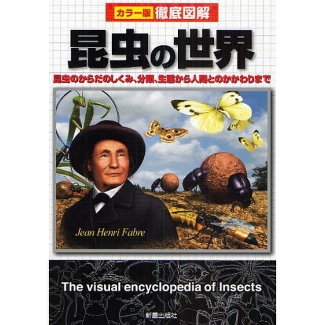 昆虫の世界　昆虫のからだのしくみ、分類、生態から人間とのかかわりまで