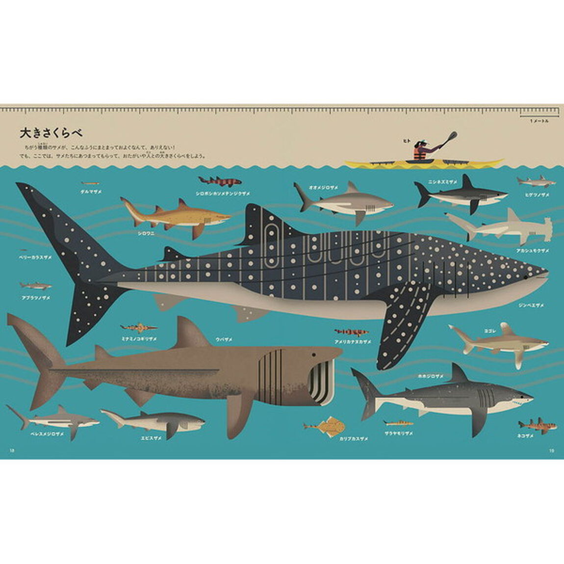 サメってさいこう！