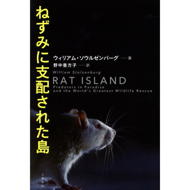ねずみに支配された島