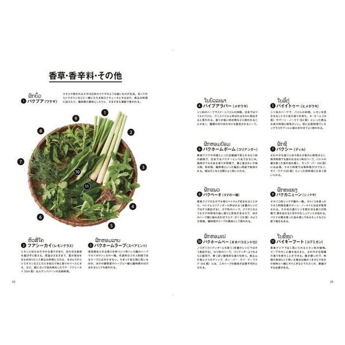 ラオス料理を知る、つくる
