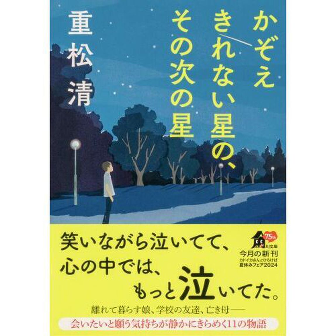 かぞえきれない星の、その次の星