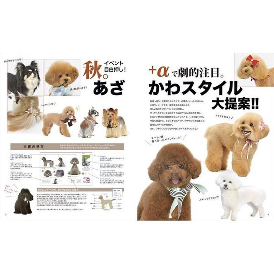 トリムノート　Ｄｏｇ　ｈａｉｒ　Ｃｏｌｌｅｃｔｉｏｎ　ｖｏｌ．８