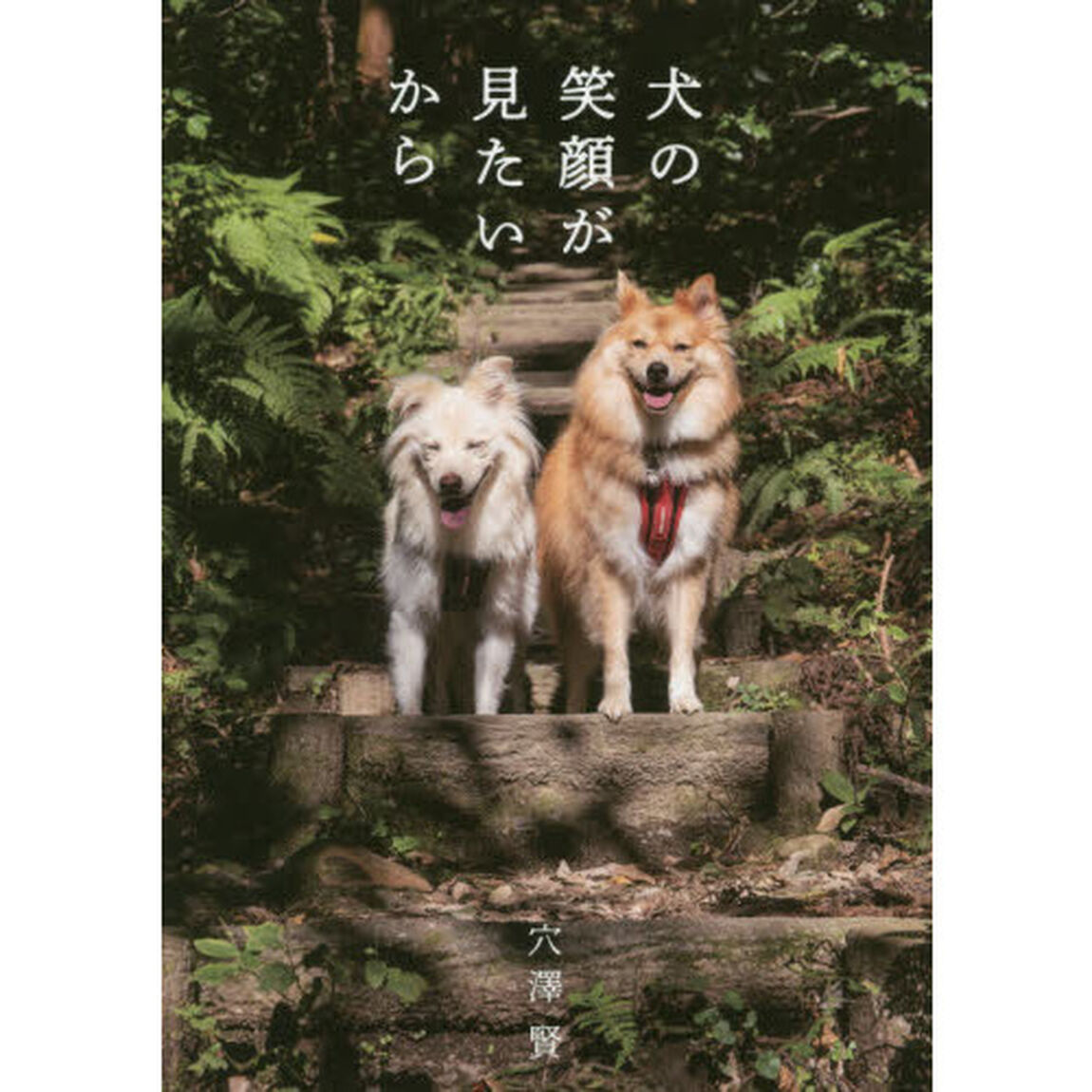 犬の笑顔が見たいから