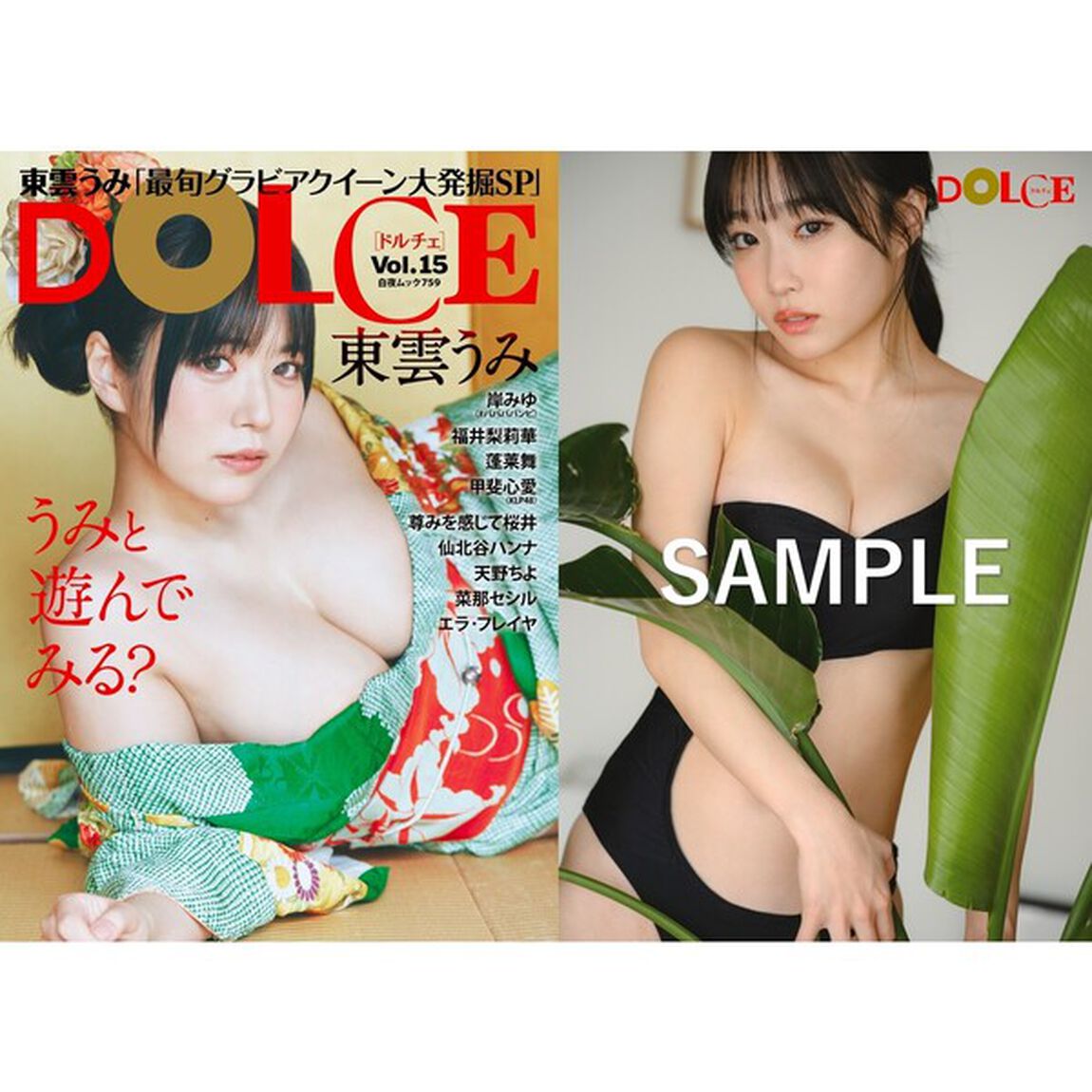DOLCE　vol.15【セブンネット限定特典：岸みゆポストカードA 1枚付き】