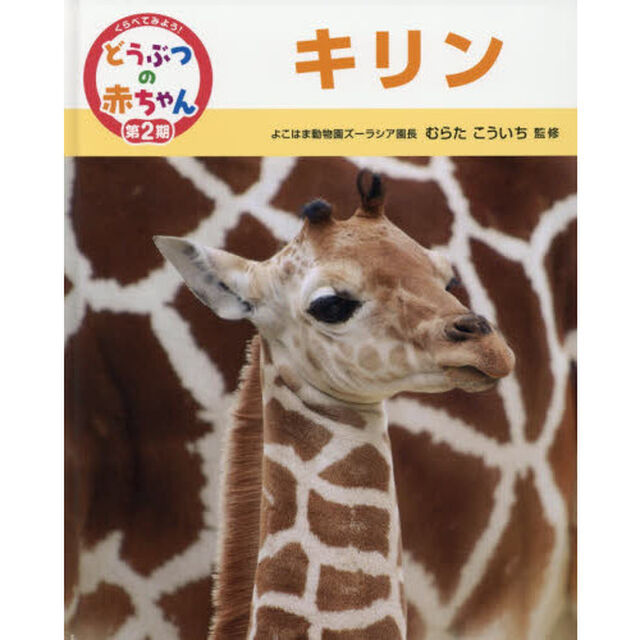 くらべてみよう！どうぶつの赤ちゃん　１４「キリン」