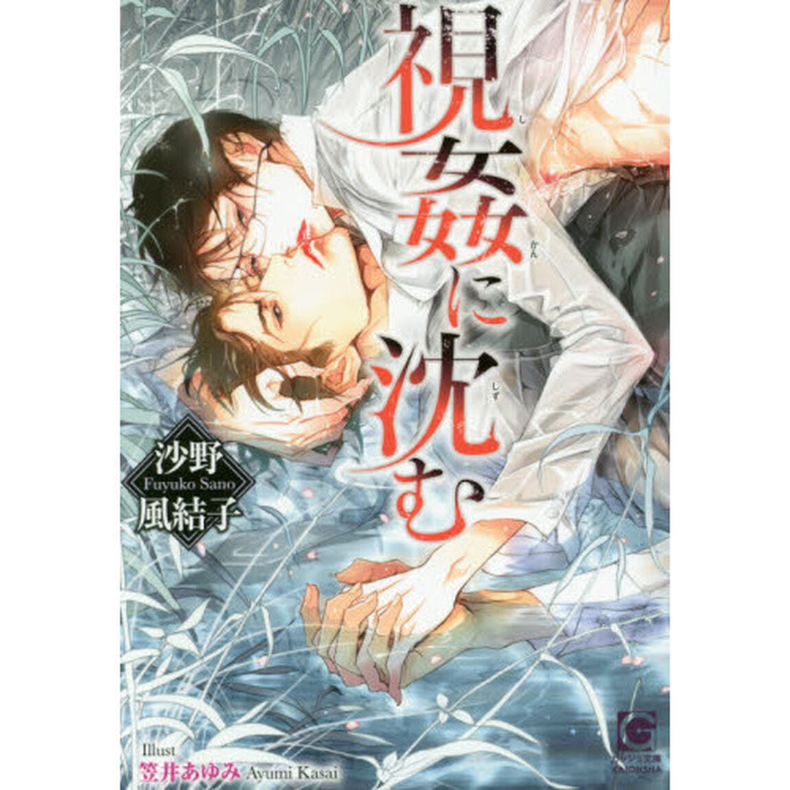 視姦に沈む