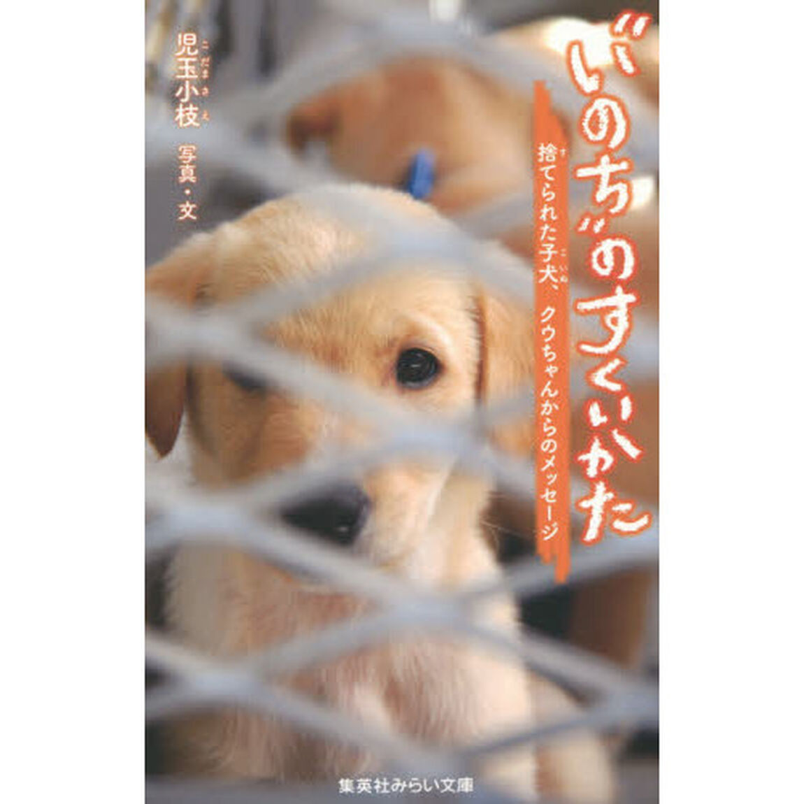 &ldquo;いのち&rdquo;のすくいかた　捨てられた子犬、クウちゃんからのメッセージ