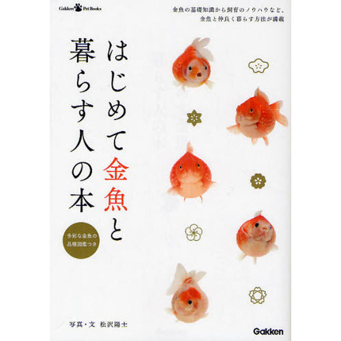 はじめて金魚と暮らす人の本