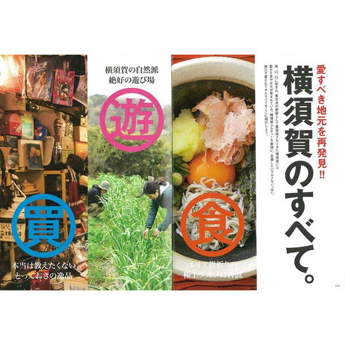 持ち歩ける横須賀本　愛すべき地元のすべて。