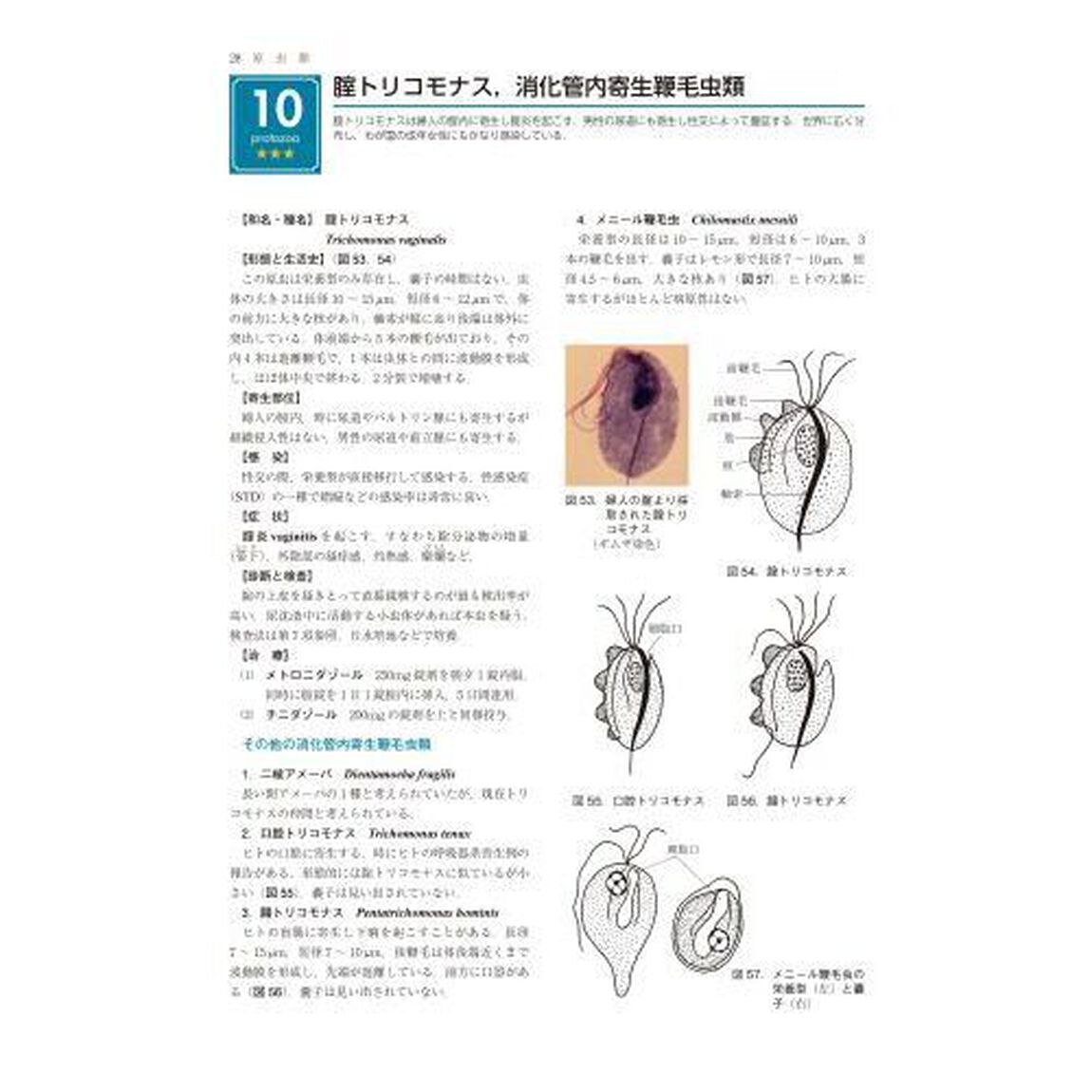 医動物学「改訂８版」