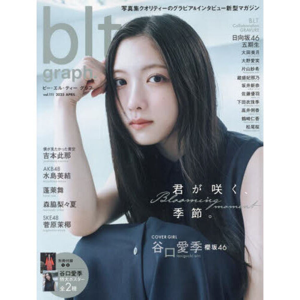 blt graph.vol.111