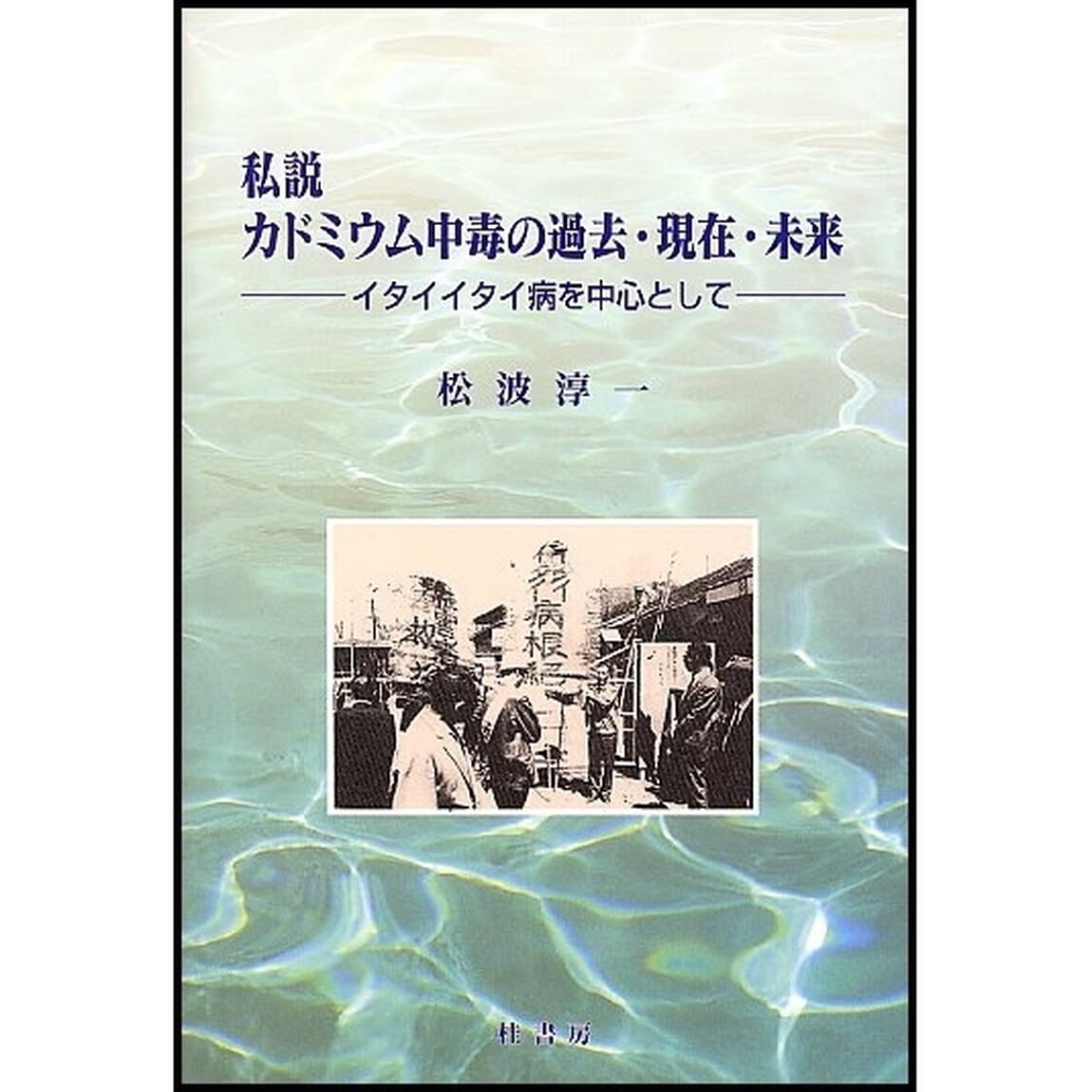 私説カドミウム中毒の過去・現在・未来　イタイイタイ病を中心として