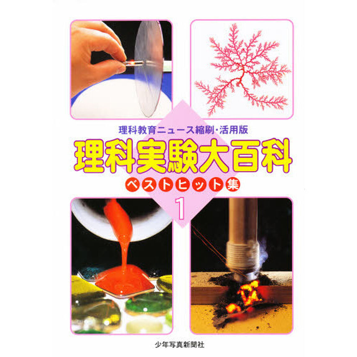 理科指導大百科ベストヒット集　理科教育ニュース縮刷・活用版　総合的な学習