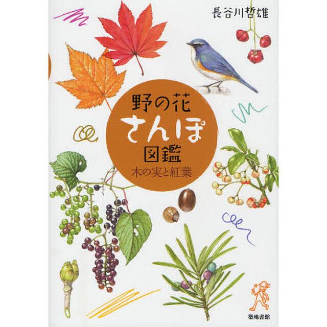 野の花さんぽ図鑑―木の実と紅葉