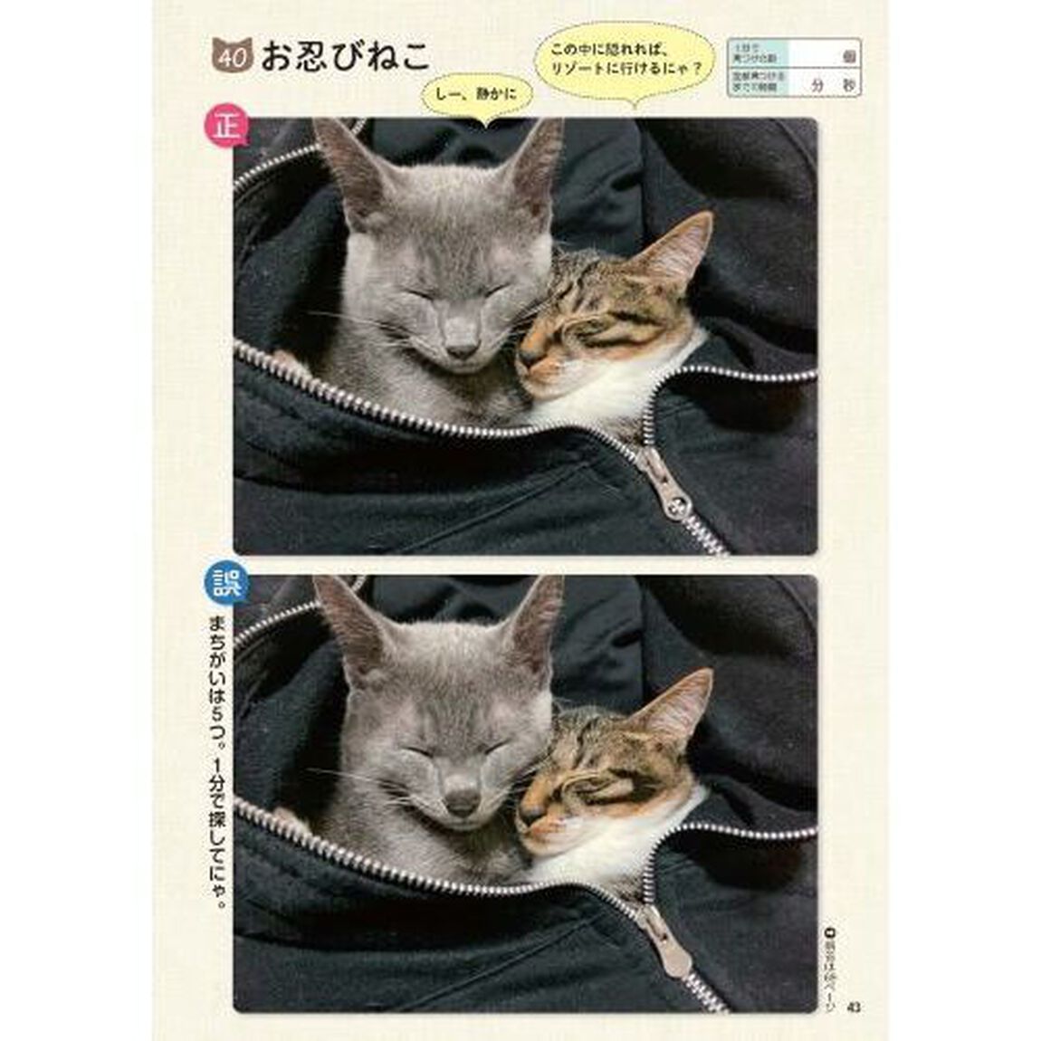 ねこのまちがいさがし　にゃんと１分見るだけ！記憶脳瞬間強化　１０
