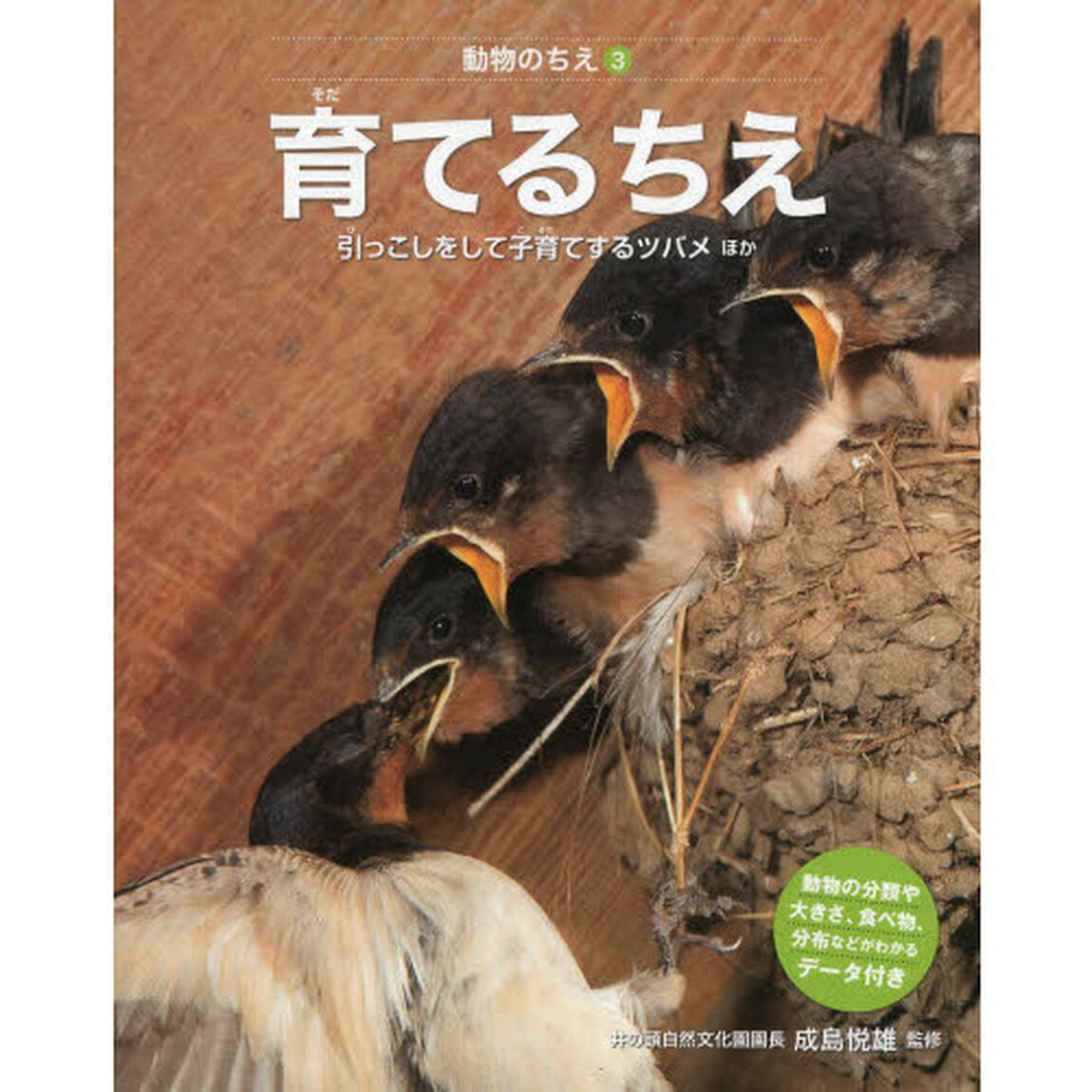 動物のちえ　３「育てるちえ　引っこしをして子育てするツバメほか」