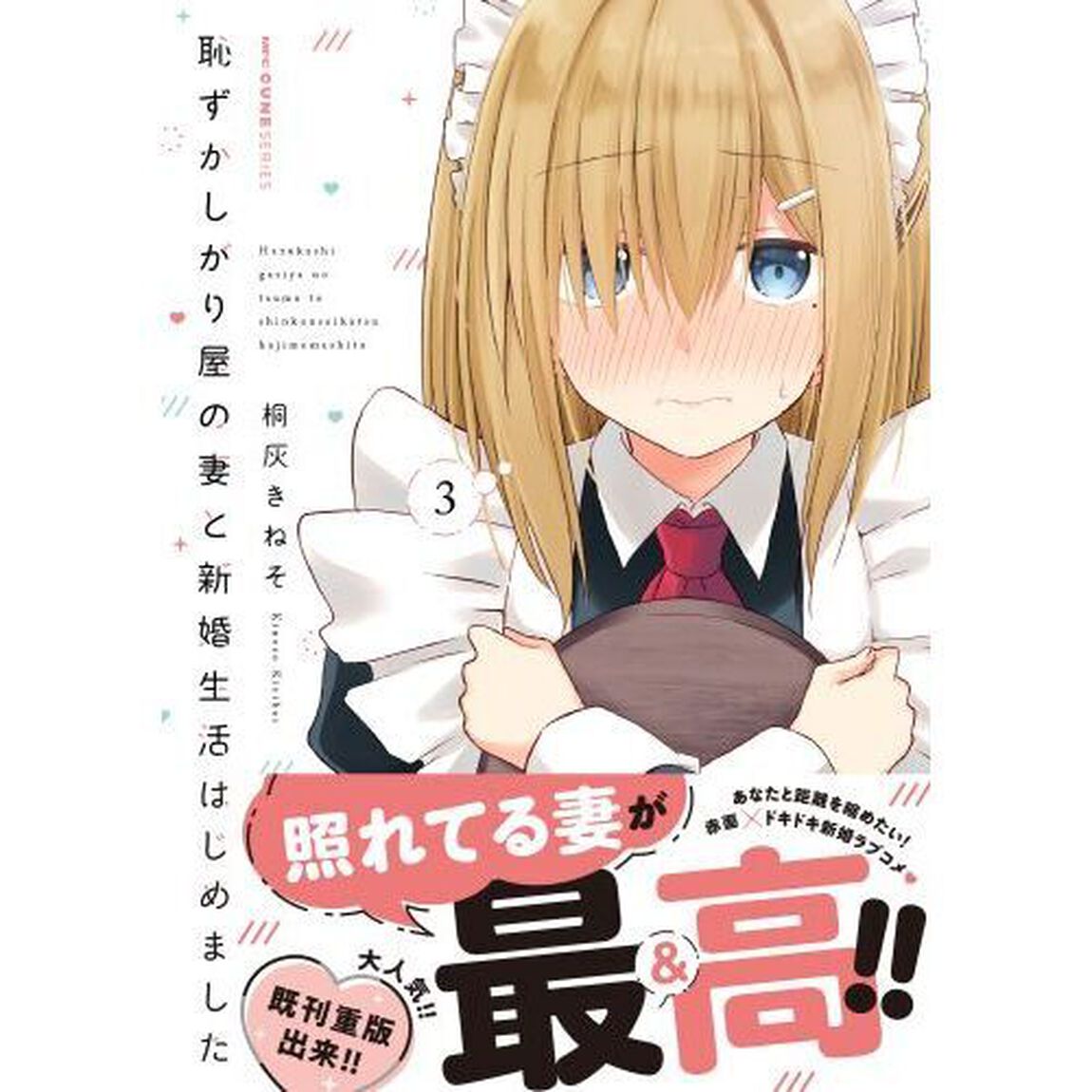 恥ずかしがり屋の妻と新婚生活はじめました　３