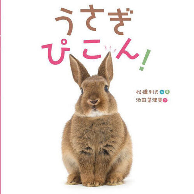 うさぎぴこん！