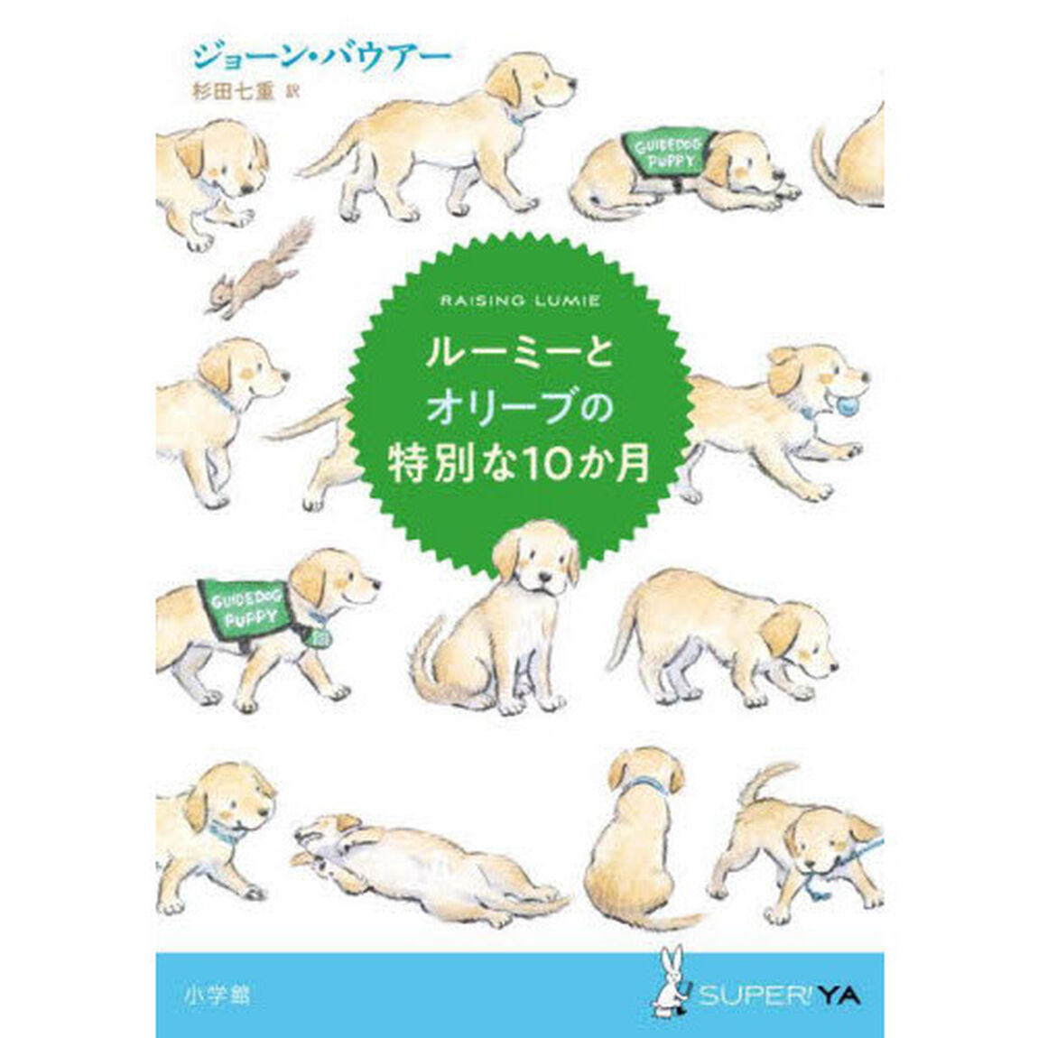 ルーミーとオリーブの特別な１０か月