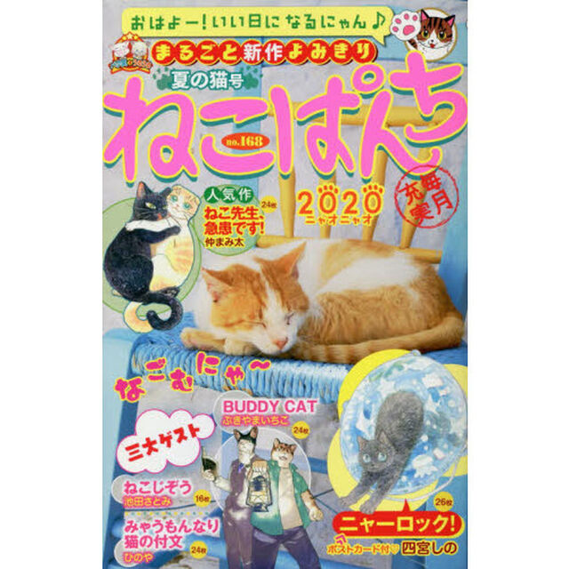 ねこぱんち　夏の猫号