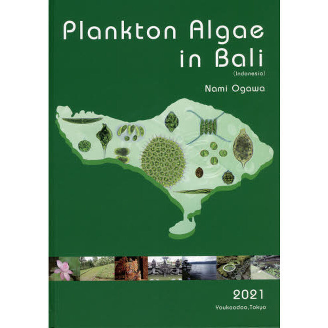 Ｐｌａｎｋｔｏｎ　Ａｌｇａｅ　ｉｎ　Ｂａｌｉ