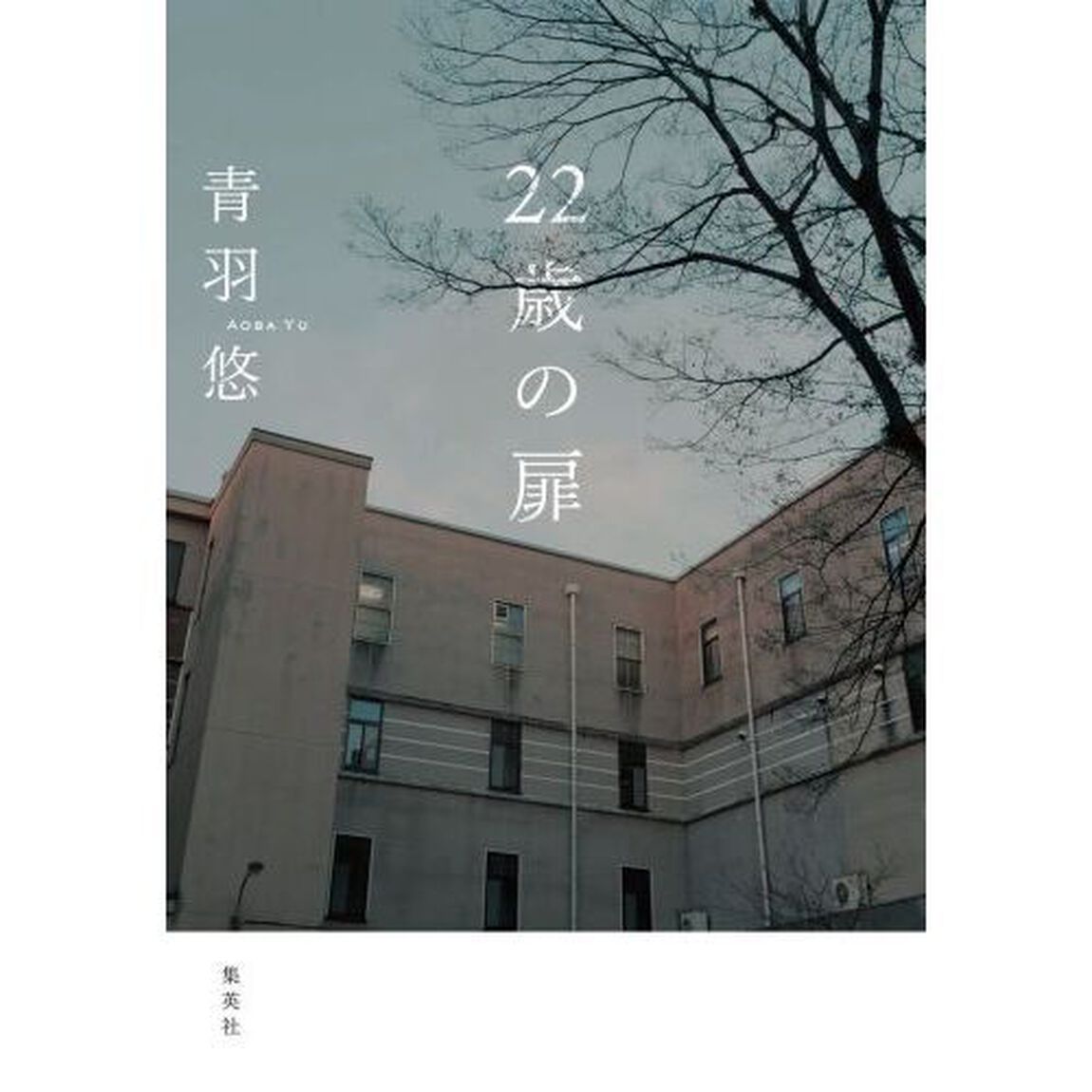２２歳の扉