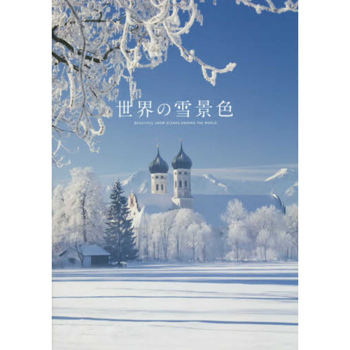 世界の雪景色