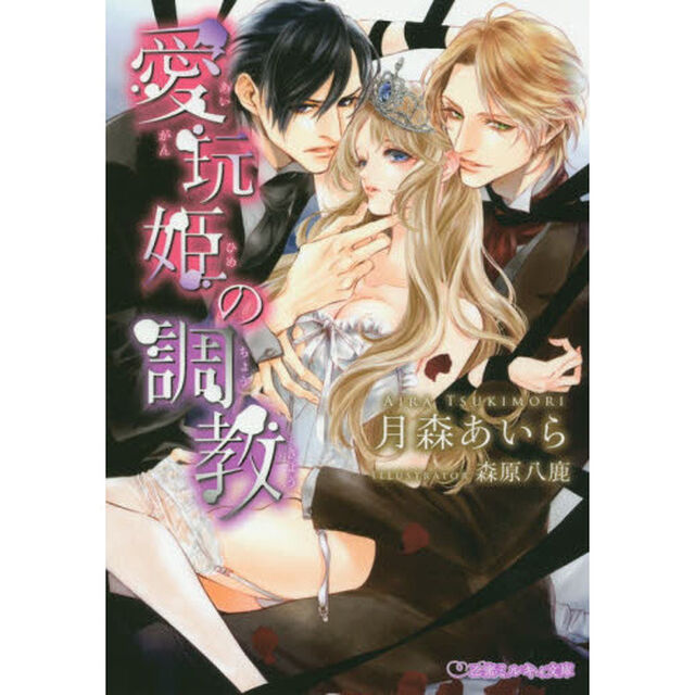 愛玩姫の調教