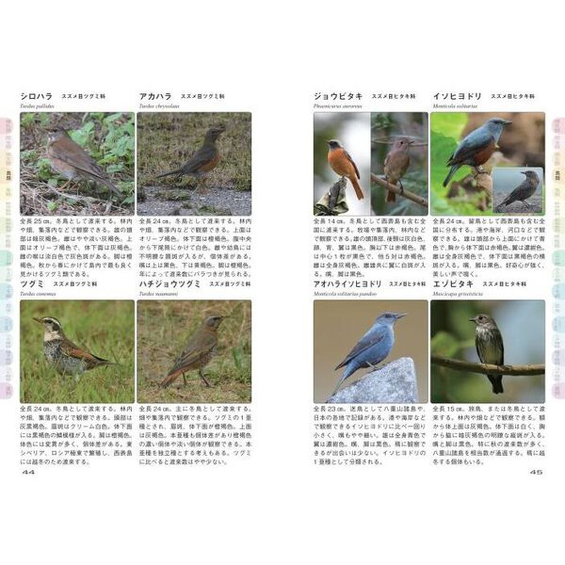 西表島のいきもの図鑑１０００種　世界自然遺産