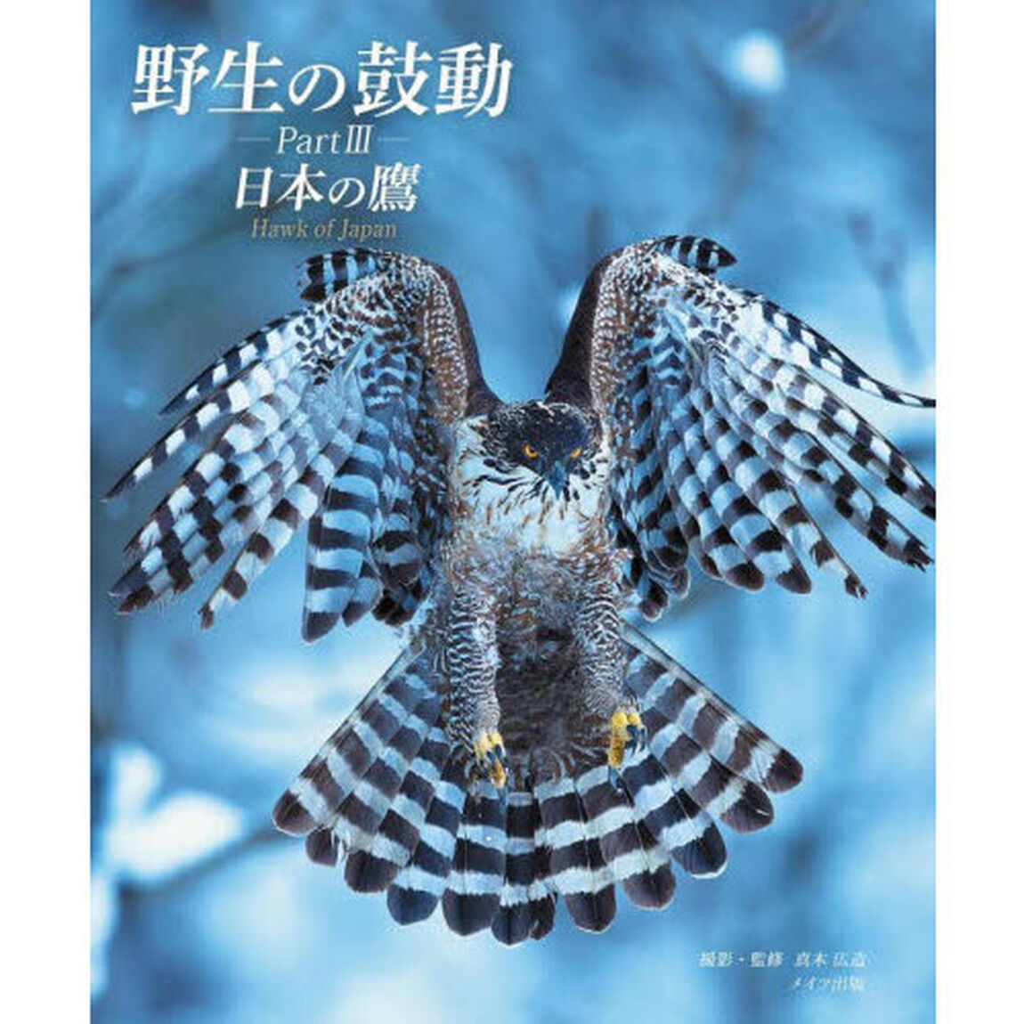 野生の鼓動　Ｐａｒｔ３「日本の鷹」