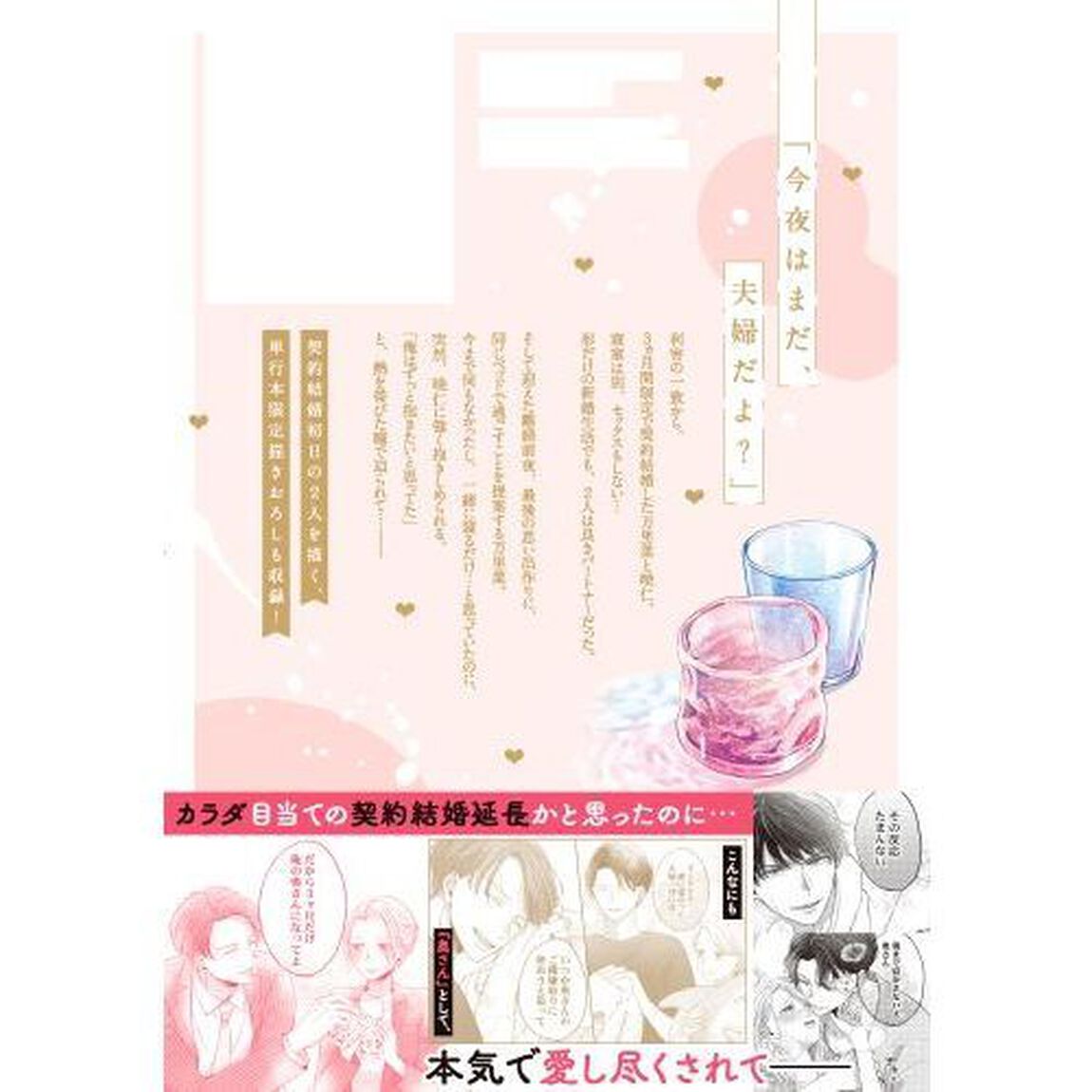 カラダが恋する契約結婚　冨永夫妻は今夜も離婚できません。