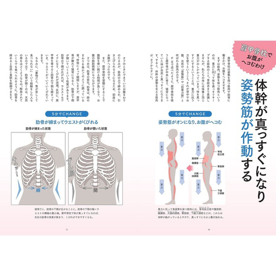 寝るだけ５分腹やせ肩甲骨枕