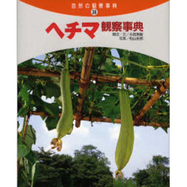 ヘチマ観察事典