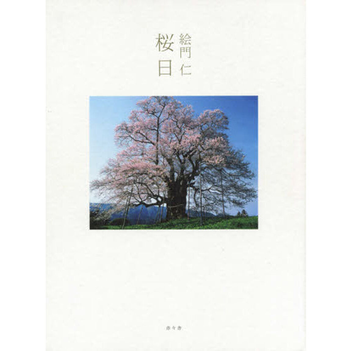 桜日