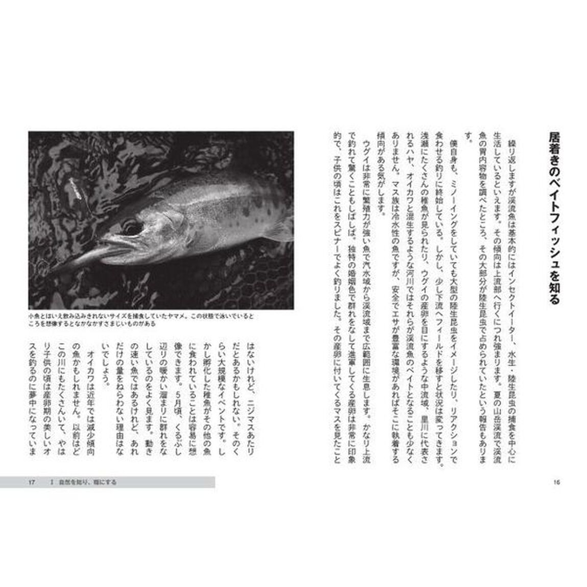 トラウトルアー釣り超思考法　生きない経験、報われない努力にサヨウナラ